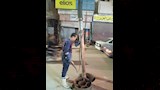 مياه أسيوط تكثف حملات تطهير الشبكات والبيارات لمواجهة الأمطار (10)