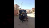 مياه أسيوط تكثف حملات تطهير الشبكات والبيارات لمواجهة الأمطار (1)