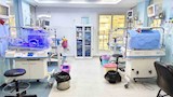 حضانات الأطفال