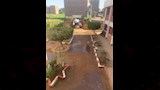 جانب من فناء المدرسة
