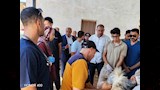 تحصين الماشية (7)