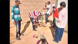 زراعة اشجار متنوعة في مبادرة اطلب شجرة بواحة الداخلة_3