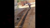 جانب من تنفيذ مبدارة اطلب شجرة بالداخلة_2