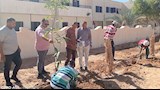 انطلاق مبادرة «اطلب شجرة» لتخضير المدارس والأحياء بالوادي الجديد