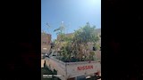 مركز الداخلة يدشن مبادرة اطلب شجرة_5