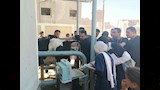 الطب البيطري