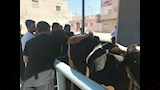 الطب البيطري