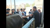 الطب البيطري