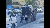 الحنطور فى أسوان_10