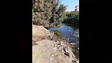 سحبها الأهالي من المياه_2
