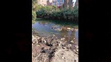 موقع السقوط_4