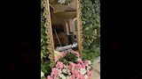 حفل زفاف حامد حمدان
