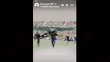 ستوري لامين يامال