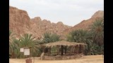 الواحة _11
