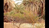 طبيعة المنطقة _7
