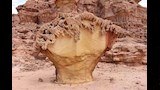 نتوءات صخرية _3