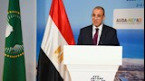 الدكتور بدر عبدالعاطي وزير الخارجية