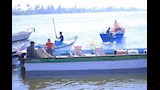 نقل عفش الزوجية لـعروس من النخيلة إلى البداري (2)_1