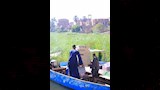 نقل عفش الزوجية لـعروس من النخيلة إلى البداري (14)_12