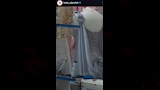 تصميم فستان كارولين عزمي