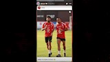 ستوري قفشة