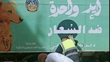 الطب البيطري يواصل حملات مكافحة الكلاب الضالة بشوارع الدقهلية
