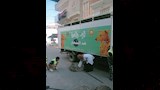 الطب البيطري (1)