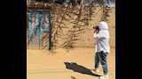 إطلاق مبادرة لتوثيق ما تبقى من عمارة الأقصر التراثية (3)