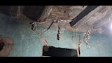 داليا عروس أسيوط تحت أنقاض منزلها المدمر (5)