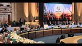 الدكتورة منال عوض (3)