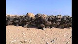 الآثار الغارقة في مصر (35)