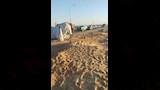 فور وقوع الحادث