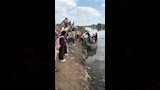 تلاميذ يعبرون بحر حادوس بـفلوكة للوصول لمدرستهم في الدقهلية (9)