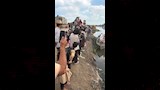 تلاميذ يعبرون بحر حادوس بـفلوكة للوصول لمدرستهم في الدقهلية (19)