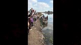 تلاميذ يعبرون بحر حادوس بـفلوكة للوصول لمدرستهم في الدقهلية (14)