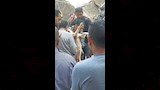 لحظة استخراج كلب حيًا بعد 16 ساعة تحت أنقاض عقار الإسكندرية (1)