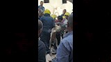 لحظة استخراج كلب حيًا بعد 16 ساعة تحت أنقاض عقار الإسكندرية (4)