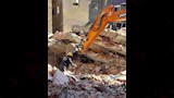 انتشال ضحايا عقار الترعة المردومة بالإسكندرية (5)_6