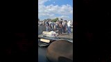 فور وقوع الحادث