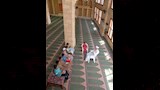 الدور الدعوي للمسجد 