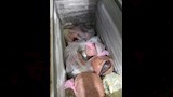 صحة بني سويف تضبط 75 كيلو من مصنعات الحواوشي المخالفة (3)