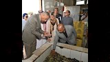 العصر 