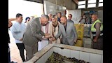 الاطلاع على الزيتون [1]