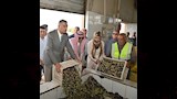 مراحل العصر 