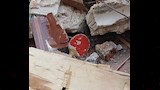تروي جانبًا من حكاية ضحايا عقار الترعة المردومة (4)