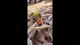 تروي جانبًا من حكاية ضحايا عقار الترعة المردومة (9)