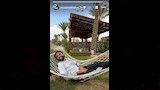 ستوري الشحات