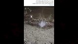 المنشور المتداول
