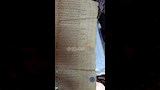 الشرط المدون في العقد للحفاظ على البئر وألا يمنع ماءه 
