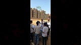  تعليم أسوان يطلق مبادرة لتشجير المدارس (4)